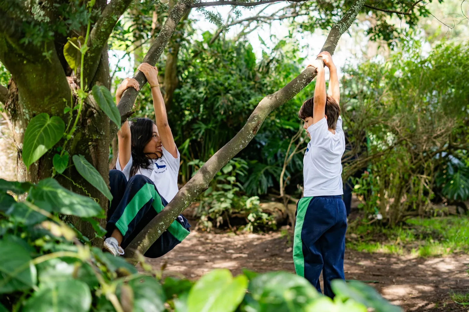 Educación Básica - Proyectos activos, exploración en la naturaleza y convivencia armónica